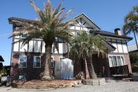 ヤシの木 - TAKEZO